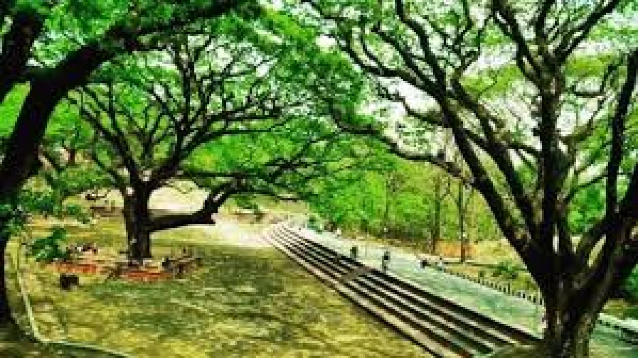 হাসপাতাল নির্মাণে ঘুরেফিরে কেন চট্টগ্রামের ফুসফুস চয়েস