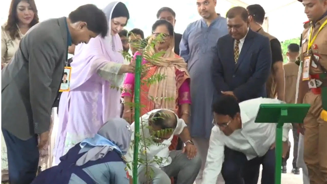 ২৯ হাজারের বেশি শিক্ষাপ্রতিষ্ঠানে বৃক্ষরোপণ কর্মসূচির উদ্বোধন করলেন প্রধানমন্ত্রী