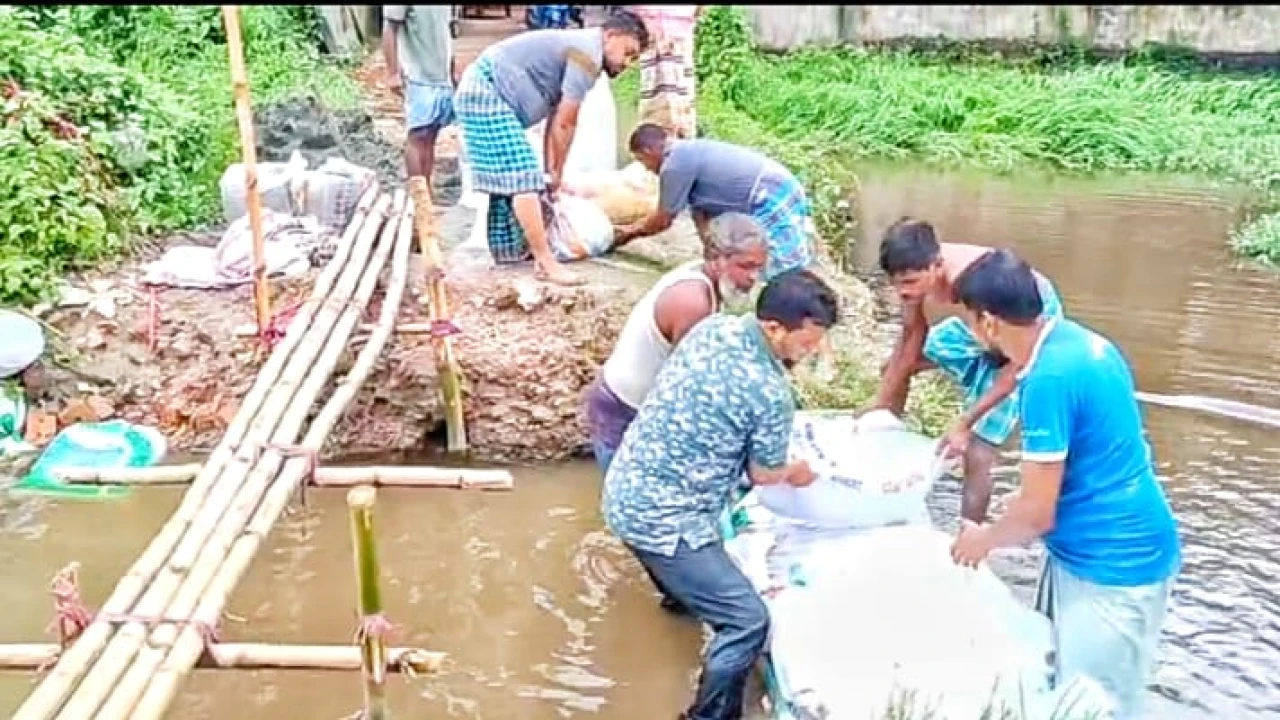 আনোয়ারায় বিচ্ছিন্ন সড়ক সংস্কার করে প্রশংসায় ভাসছেন...